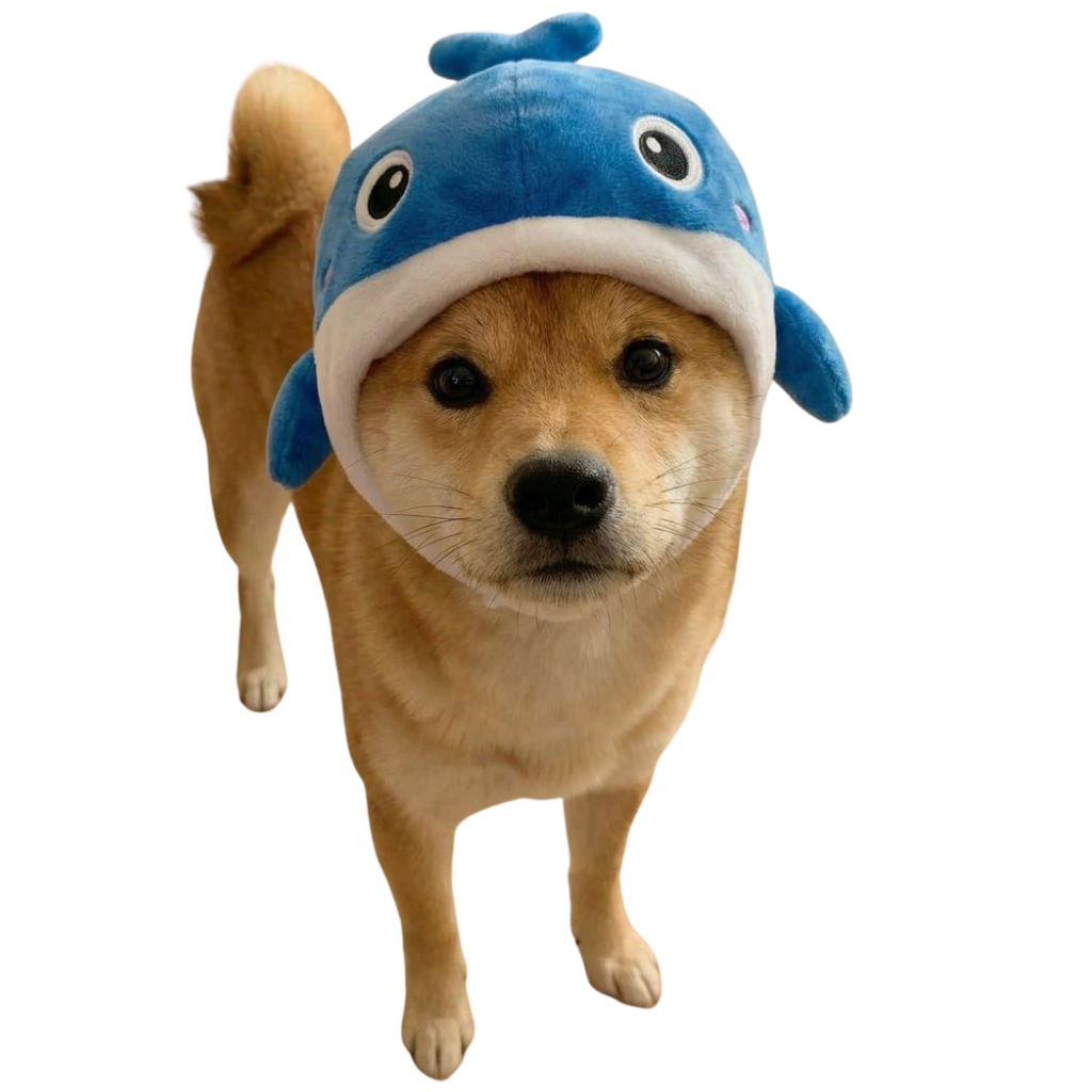 WIFWHALE mascot - Shiba Inu with whale hat